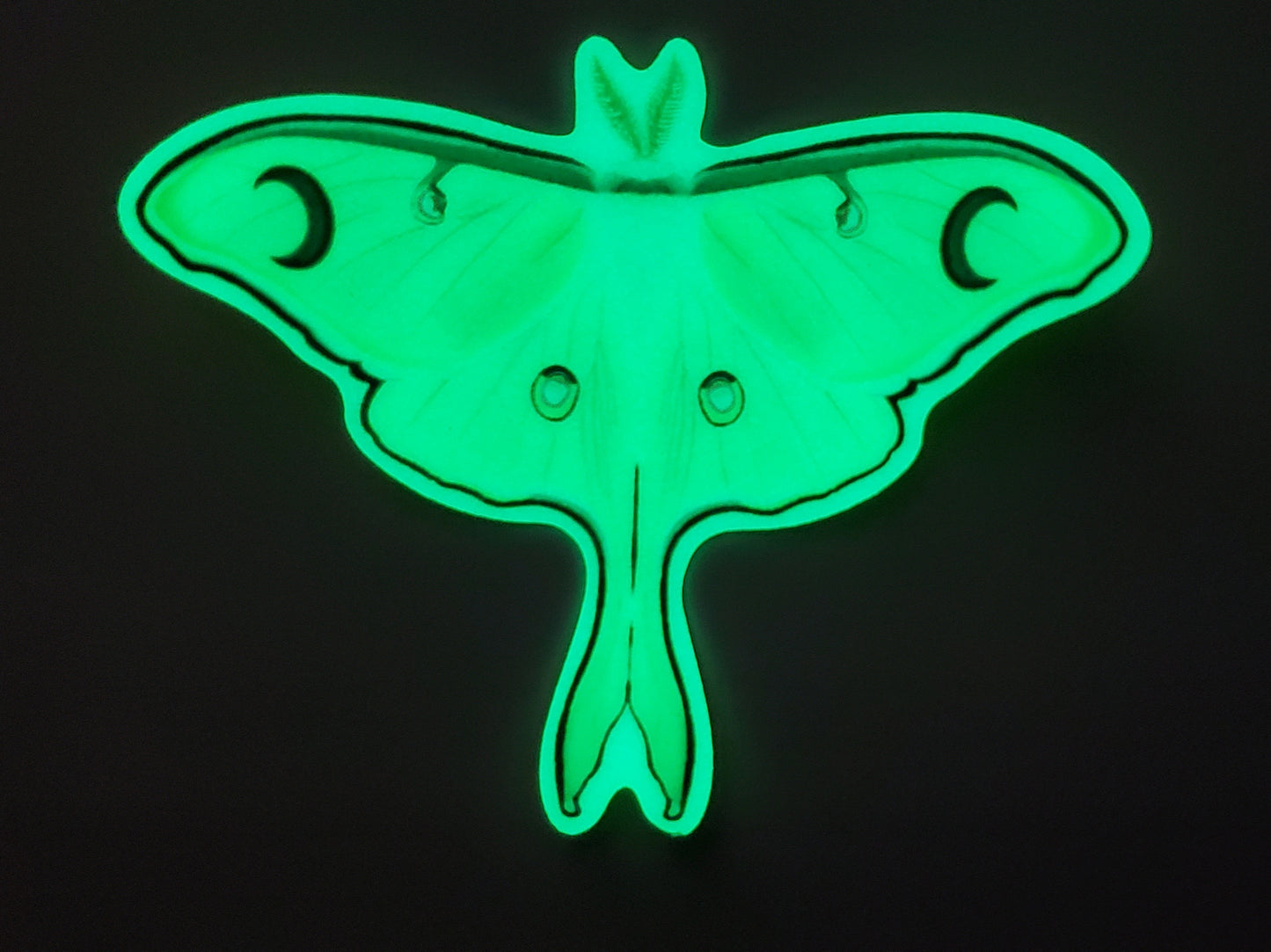 Luna Moth Glow In The Dark Sticker