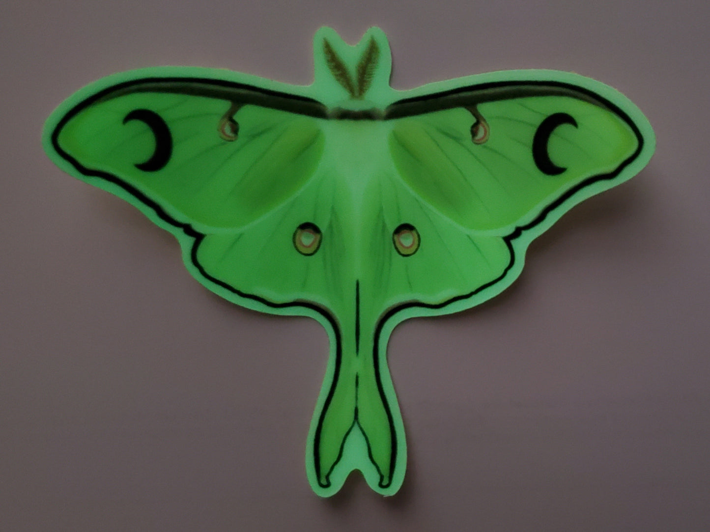 Luna Moth Glow In The Dark Sticker