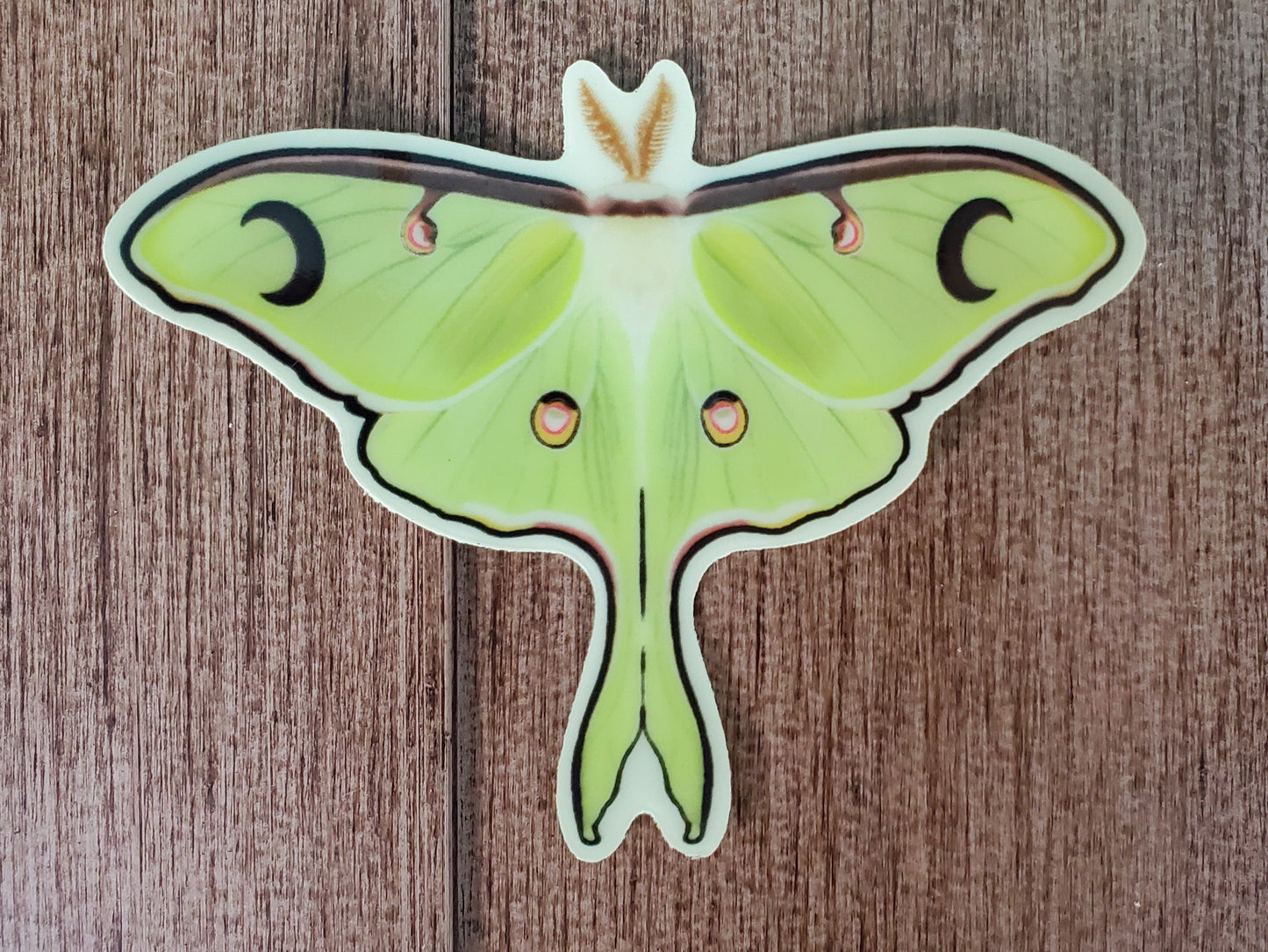 Luna Moth Glow In The Dark Sticker