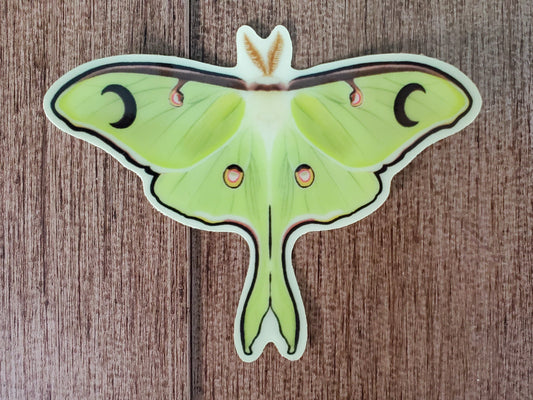 Luna Moth Glow In The Dark Sticker