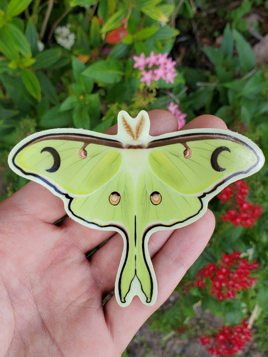 Luna Moth Glow In The Dark Sticker