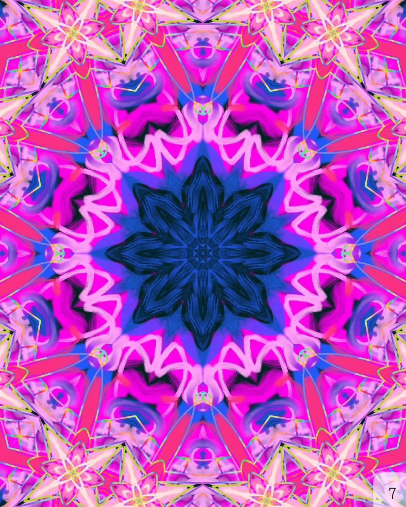 Floral DMT 2 Paper/Metal/Canvas Prints